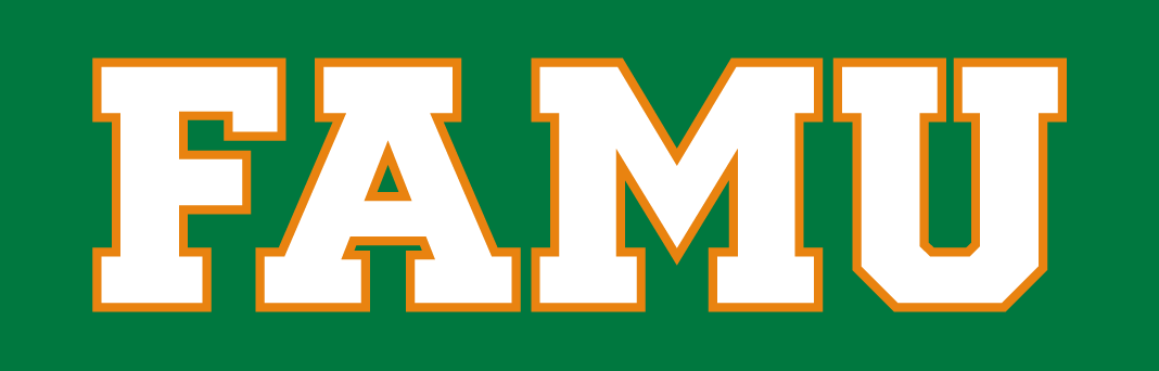 Florida A&M Rattlers 2013-pres wordmark logo v2 diy DTF decal sticker